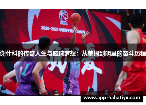 谢什科的传奇人生与篮球梦想：从草根到明星的奋斗历程